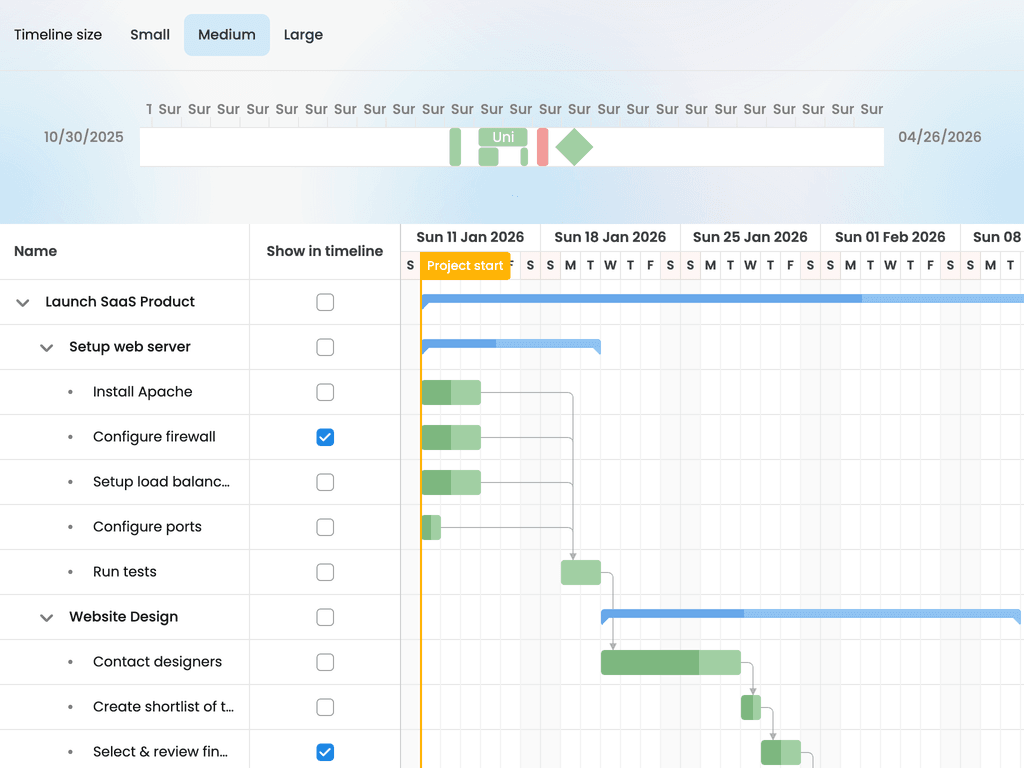 Timeline widget